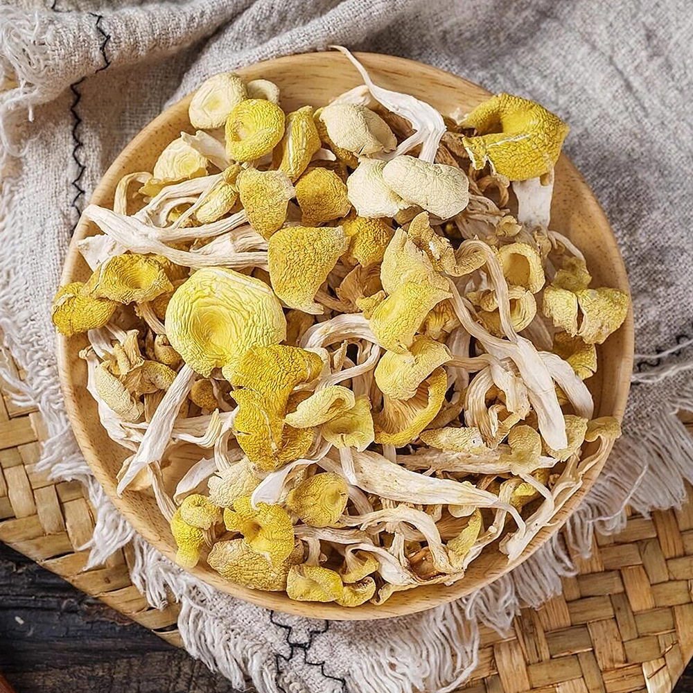Chicken mushroom Yunnan original place golden mushroom wholesale price chicken fungus yellow silk fungus edible fungus origin manufacturer