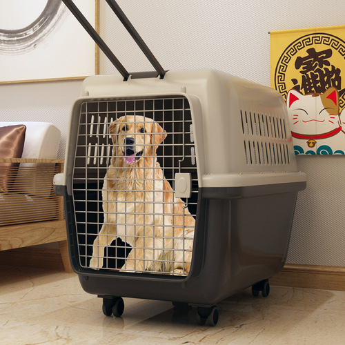 Flight box for cats and dogs, pet cat cage, portable out-going cat box, cat bag, air transport, small dog, medium-sized shipping box