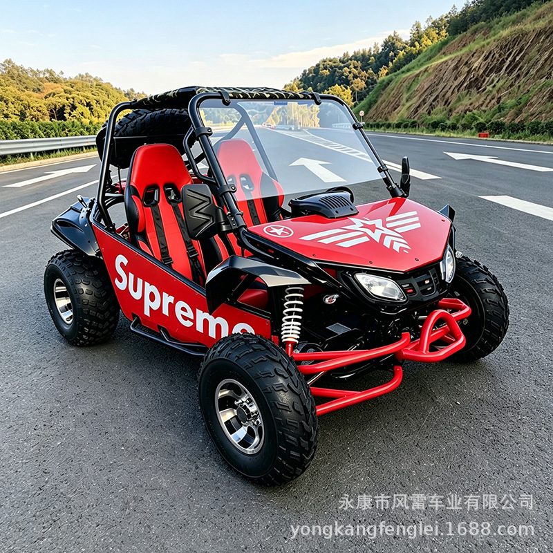 Go Kart Todoterreno de Dos Asientos 200-300cc de Hierro y Plástico con Arranque Eléctrico image 3