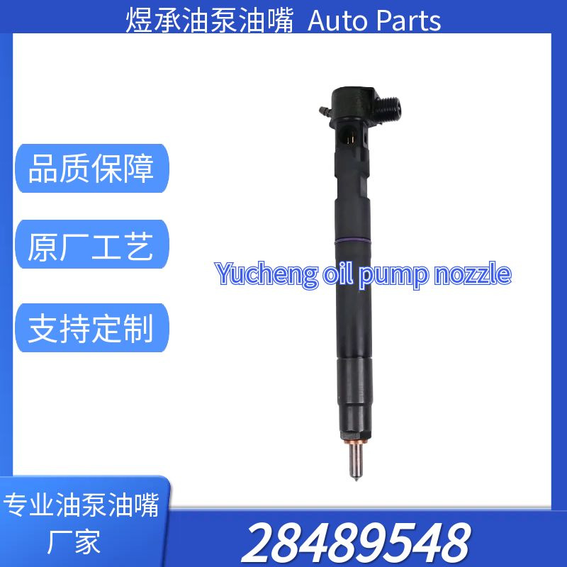 A6510700487 Conjunto de inyector 28254952 Inyector common rail