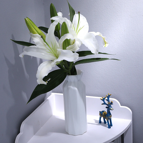 Wholesale plastic vases, home dried flowers, flower utensils, table, living room decorations, round mouth flower vases