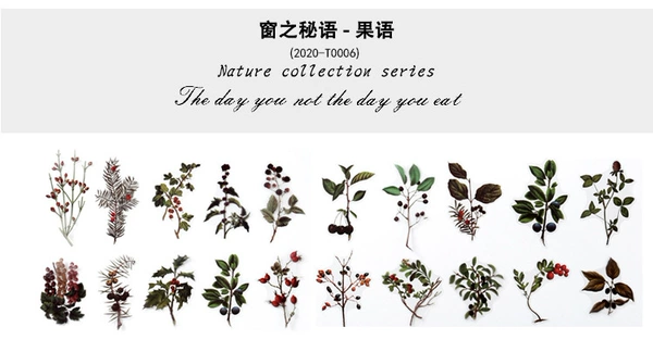 The secret of the window-fruit language