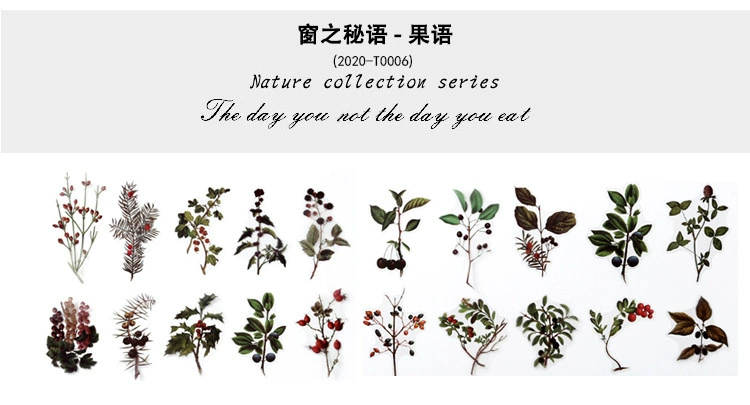 Natural photo collection window series PET handbook post paper bag creative plant DIY decorative post 12 models