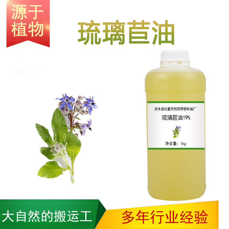 琉璃苣油 GLA19% 琉璃苣籽油  植物油