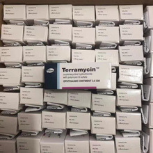 �����x���۸�������ș��؈�乷���t�[؈�۸�����