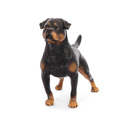 Solid static simulation animal toy dog ​​model, Rottweiler vicious dog, children's cognitive teaching aids, ornaments, figures