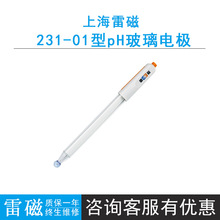 ״231-01pH늘Oָʾ늘Oׅ늘Oʹ pH̽^