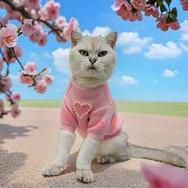 2025新款跨境代发秋冬狗狗衣服泰迪比熊猫咪淑女风珍珠爱心针织衫
