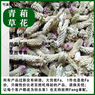 ���r���ٻ���ș�� �����ӻ� Ұ�u�ڻ� ��β�ݻ� �u���{ș��