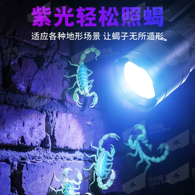 Long-Range Ultra-Bright Purple Light, Long – UV fənərlər