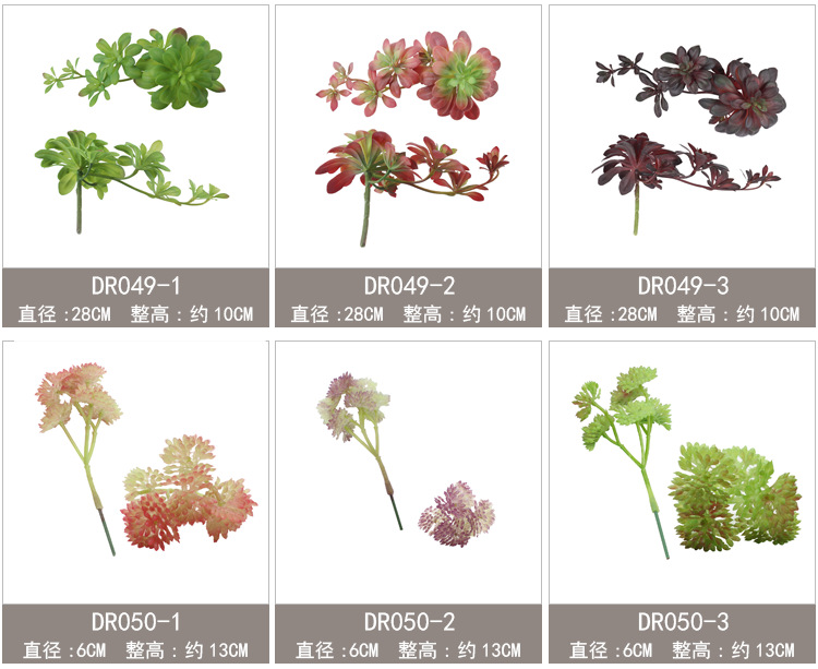 新单枝模板47-59_04