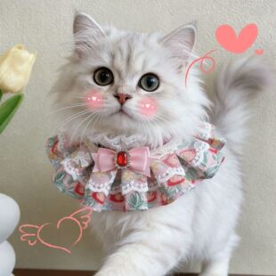 �����L�¿�؈������Y����������ż���ֵ���팙������Ʒ�b��