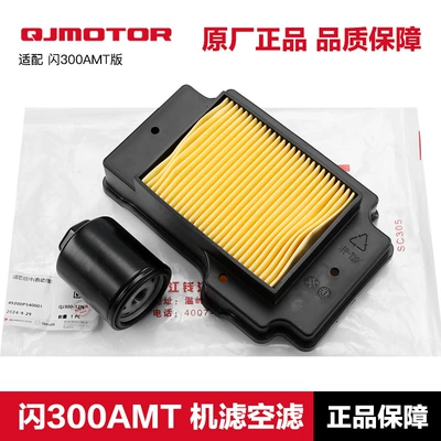 Original Flash 250V Double Cylinder Flash 300Amt Version Automatic Transmission Qianjiang Air Filter Element Air Filter Oil Grids Machine Filter