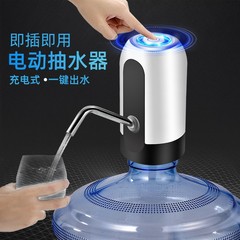バケツに水を入れる揚水器の電気圧力水器の純粋な浄水器のミネラルウォーターのポンプは吸水して自動的に水を出します。