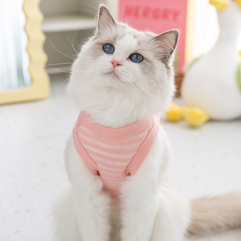Gato primavera y verano delgado transpirable perro mediano y pequeño perro chaleco de tracción a rayas huecas Teddy ropa para gatos