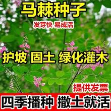 RNo¹ľùľݷNѿͺߵײNR