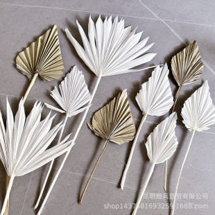 �����������~�ɻ���̫������~�N�������~�ɻ����ʹ���zӰ