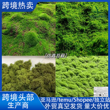 �羳����̦�\����̦�Gֲ΢���^��ɽ��ƺ�����辰����b�diy�[��