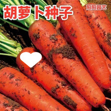 �Ŵ����t���}���N�������_���N�Ӵ����ļ��߲˷N�Ӵ�ȫ�Ŵ煢