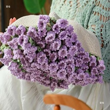 ����õ�廨��̺���ֹ��������ϰ�ë���F�h������ë̺������