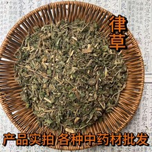 中药材律草 拉拉草 五爪龙草  狗蛋草 勒草 黑草 正品散装批发