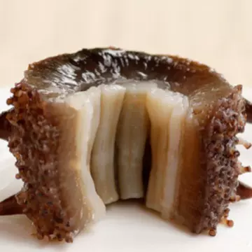 大连即食海参深海刺参非干参即食海参可礼盒鲜食辽参500g批发海参