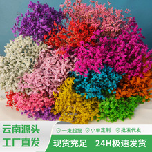 �ɻ�����ˮ�������r��diy��޹Ϟ�T�滨���ϼҾ��b��S�~�}�ɻ�