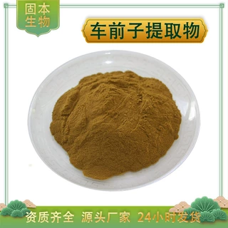 车前子提取物 水溶车前子粉 车前仁/车前实提取物 车前粉厂家包邮
