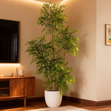 ��ɫ�����������߼��п͏d����Gֲ���b��������Ӽ٘���ؔ[��