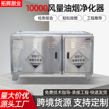 10000风量油烟净化器 商用厨房油烟净化器设备低空排放油烟净化机