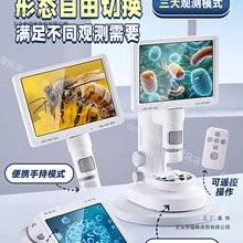 @΢RͯնYСWÿɿкŮ10qʮ