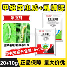 16%�׾S���x��ʭ�\�����ҹ�굾�v���~���rș���l�׾S�}���x��