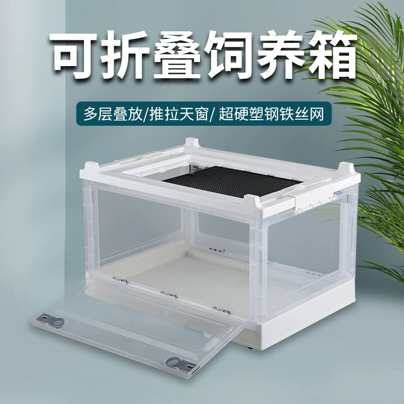 Клетка для хомяка с дышащим отверстием Золотой медведь Рутин Коробка для кормления курицы Коробка для кормления грудного Ежика для мыши Складная