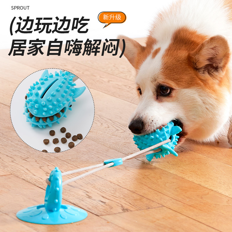 Mascota lechón juguete fuerte resistencia a la succión resistente a la fuga de alimentos bola perro aliviando tapada dibujos animados diente limpieza mordedura juguete al por mayor