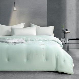 Class a 100% Pure Wool Sheep Velvet Quilt Chinese Wedding Thickeneded Winter Quilt Core Classy Counter Spring & Fall Quilt