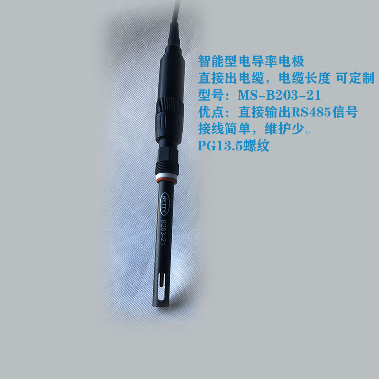 PH，ORP，石墨电导率，EC电极，溶氧，BETTY，在线，实验室，