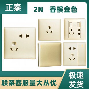 Chint Switch Socket 2N Single Open Double Control Five-Hole Air Conditioner 16A Single Open Multi-Hole Household Concealed Panel USB Safety