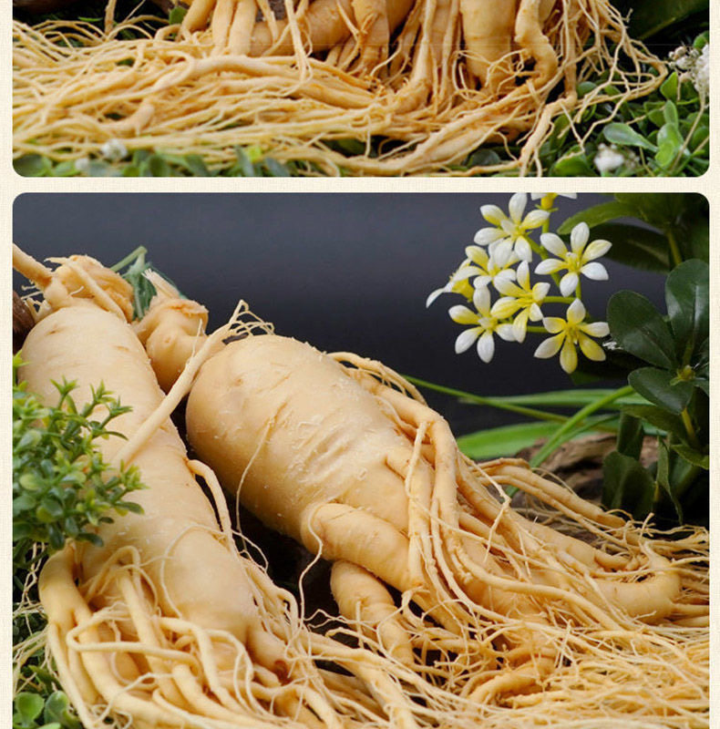 Ginseng Root Ren Shen 长白山人参 Whole Dried Root for Wine Infusion and Cooking 100g specifications