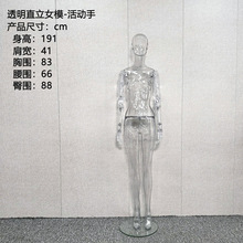 ͸ģصŮģǫֱ̈̄ۿɄ{PbĔz͸Ůģ