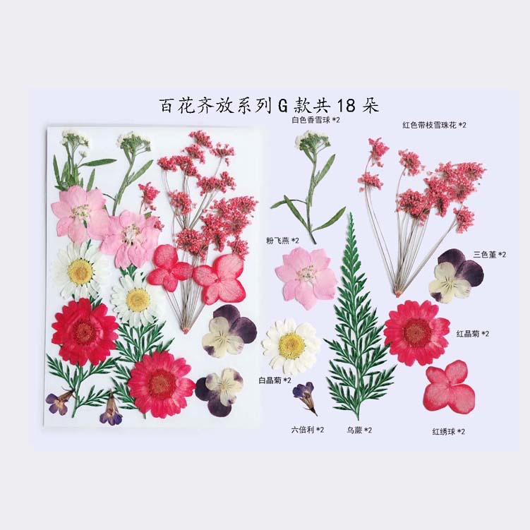 Paquete de material en relieve jardín de infantes en relieve DIY marcador epoxi flor seca caja del teléfono en relieve planta muestra