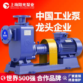 ZX系列卧式自吸化工泵自吸泵污水泵 杂质泵厂家自吸管道泵 定金