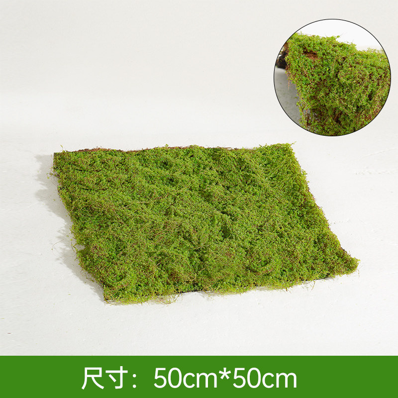 Coconut moss light green turf [50cm*50cm]