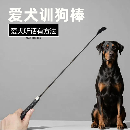 Training Whip for Dogs, Cat Whip, Training Supplies for Dogs, Fun Dog Trainer, Dog Rattle, Dog Sticks, Pet Supplies, Pet Training
