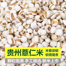 ޲����޲������؛�F��޲����500g�ɴ���ඹ�t������s�Z�ּZ�Ͱ�