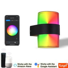 2025新款亚马逊TUya涂鸦智能调光双头户外室内壁灯上下led气氛灯