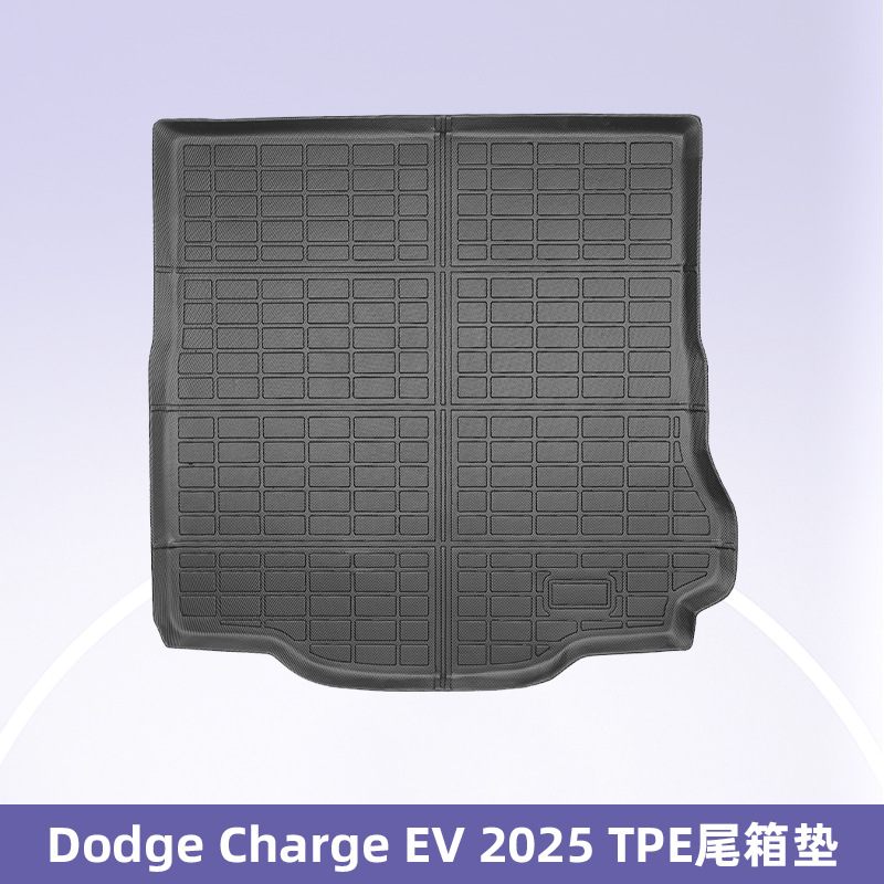 Aplicable a Dodge Charge EV 2025 TPE Foot Pad 3D All-Weather Material Back Cojín