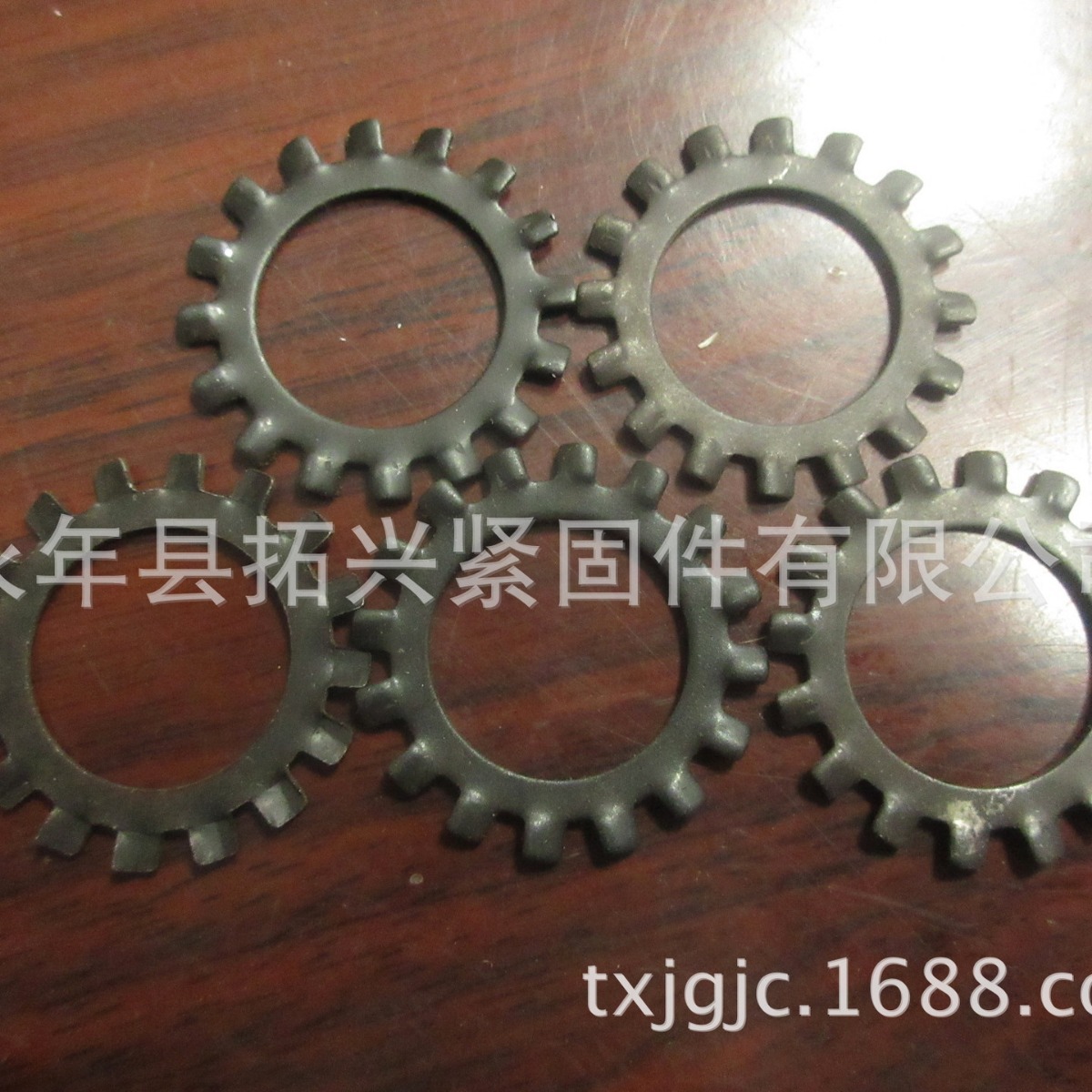 锥形锯齿锁紧垫圈 外多齿菊花垫 锥形防滑垫圈GB956