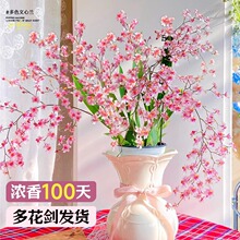 �����m���Ԏ�������ˮ�����mˮ��Gֲ�����������F�m��ˮ�B�׻�