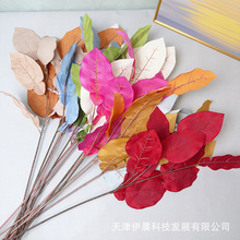 ����������~��֦���J�Ř�����~��Y�È�����픲���·���廨���l