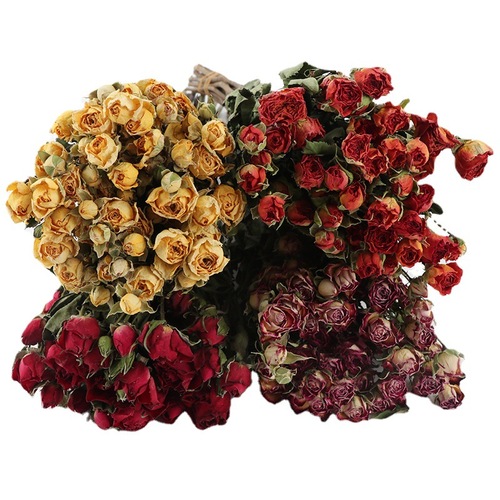 Rose dried flower bouquet multi-head bubble rose rose dried bouquet glue diy photography decorative flower materials wholesale